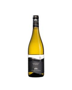PREMIUM GEWURZTRAMINER